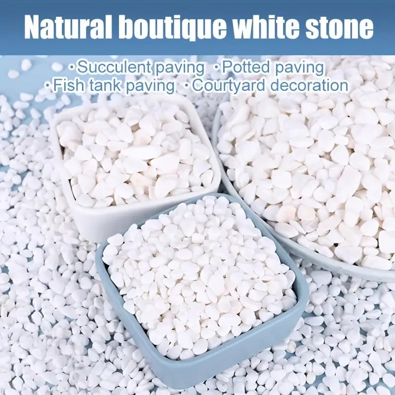 1L High-Quality Perlite Succul - Pet Beds 评论和价格