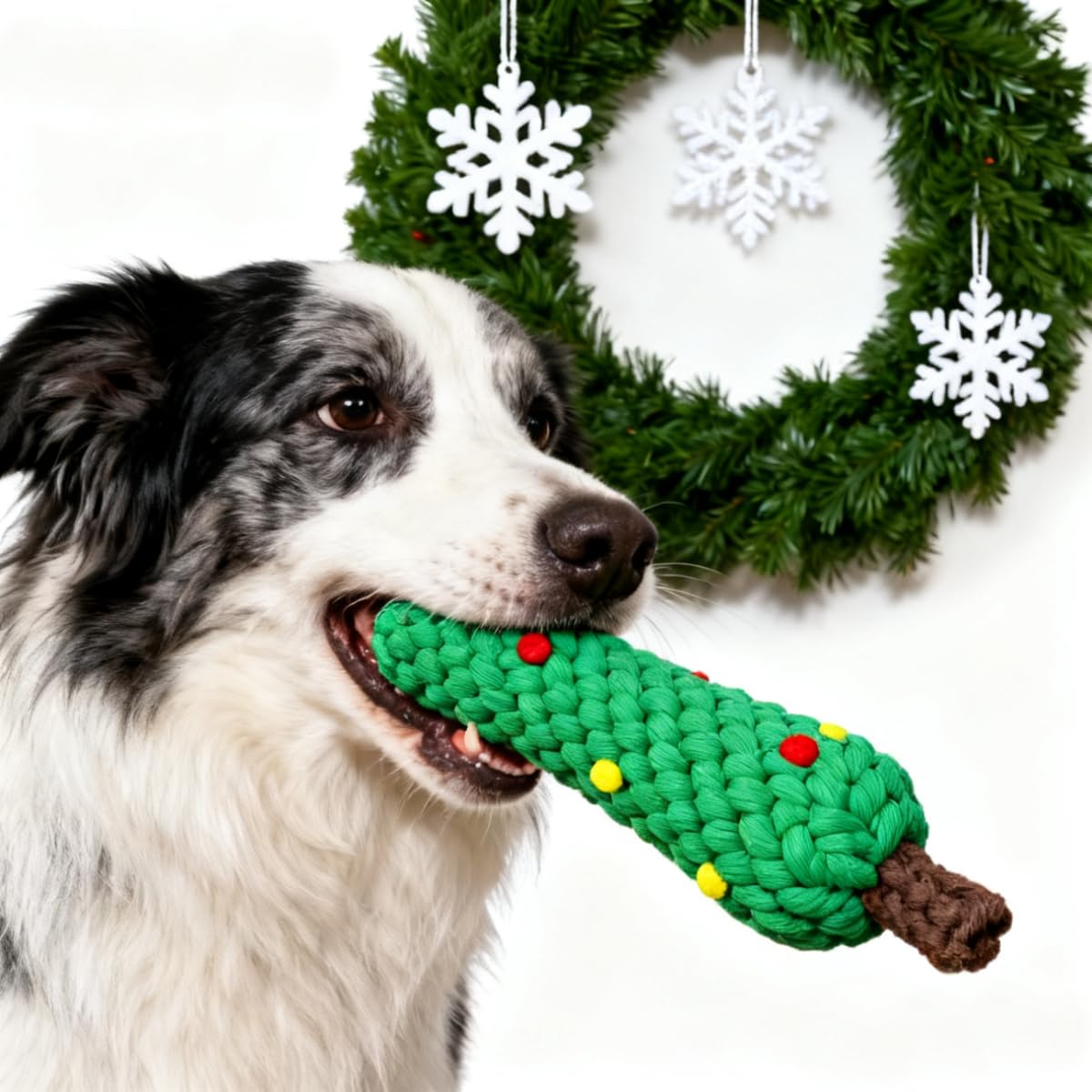 Christmas Cotton Rope Dog Chew - Teeth Cleaning Dog Chew Bone 评论和价格