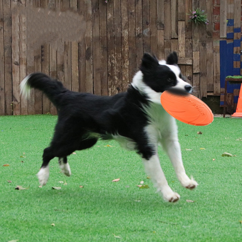 Interactive Silicone Flying Sa - Indestructible Dog Chew Toy 评论和价格